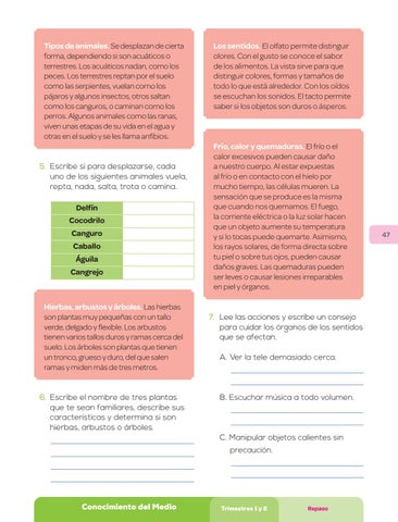 Cuaderno de repaso - 3 Primaria Alumno formulario by Christopher ...