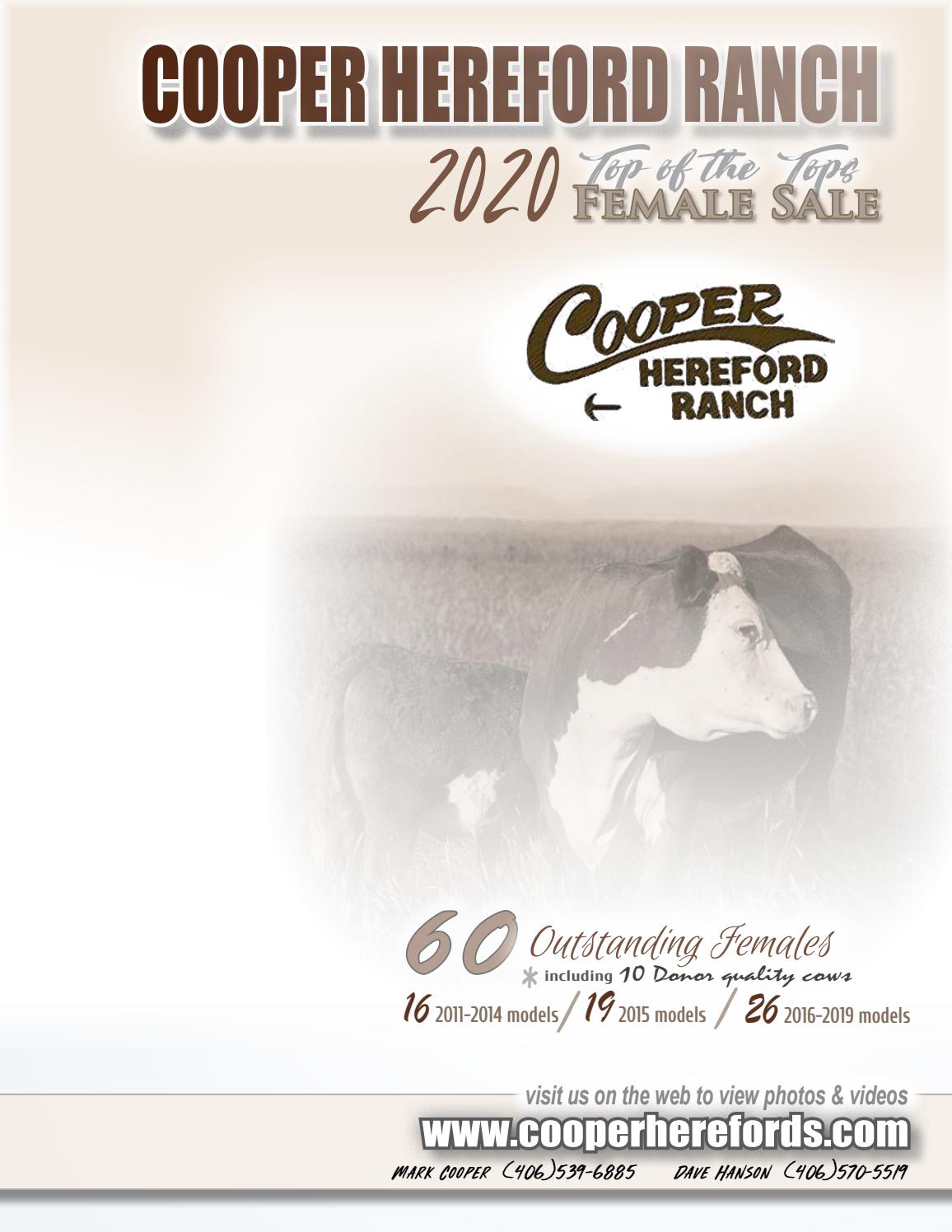 Cooper Hereford Ranch 2020 Top of the Tops Female Sale by American