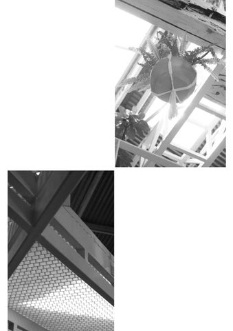 Photography Portfolio 第 17 页