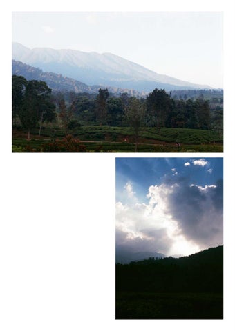 Photography Portfolio 第 3 页