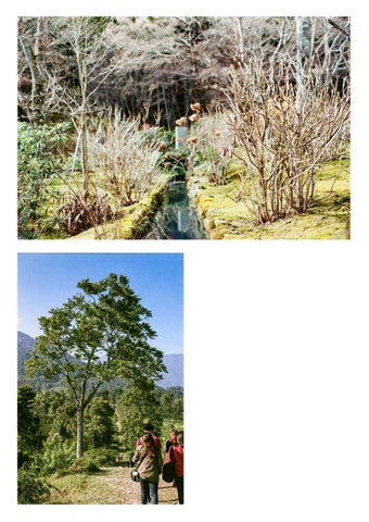 Photography Portfolio 第 4 页