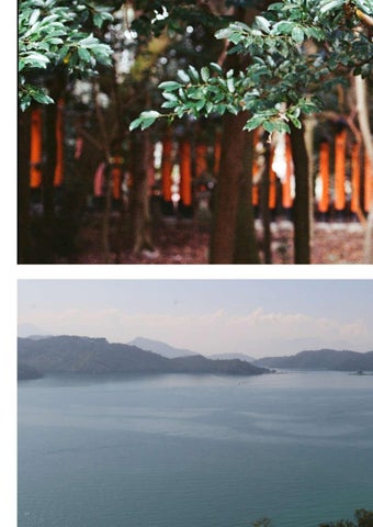 Photography Portfolio 第 6 页