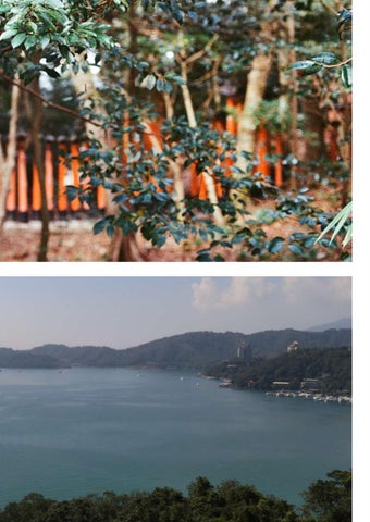 Photography Portfolio 第 7 页