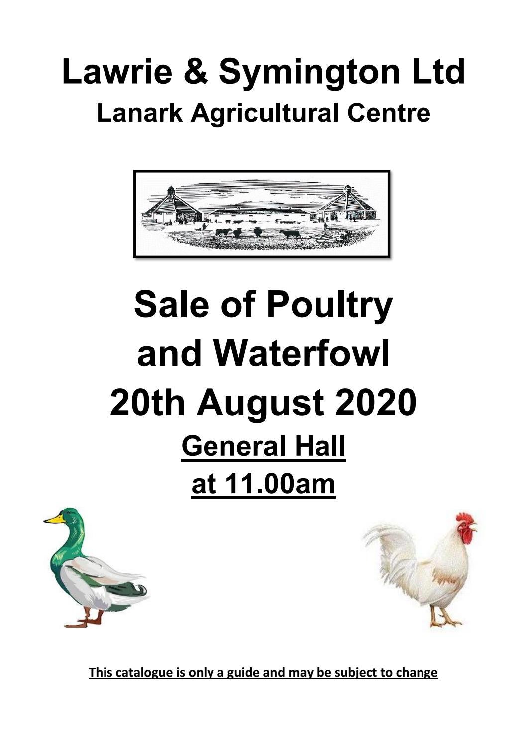 Poultry Sale 20th August 2020 by lawrieandsymington Issuu