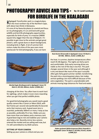 Page 18