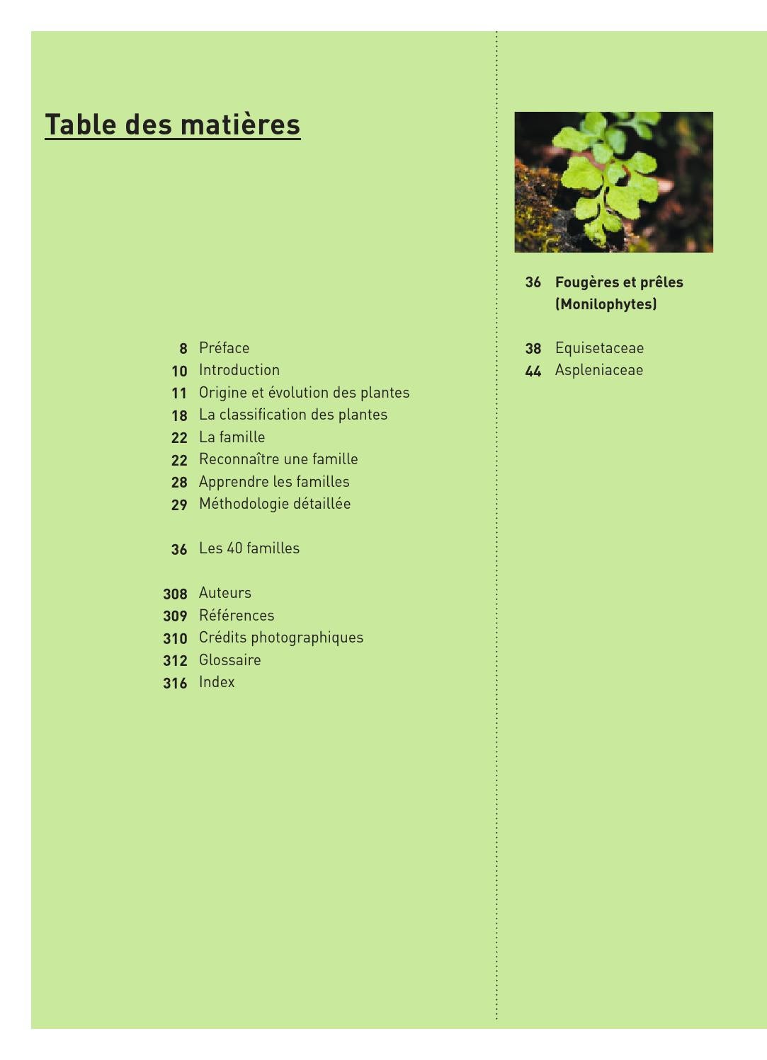 ≡ ISSUU ᐈ Extrait Connaissances botaniques de base en un coup d'oeil