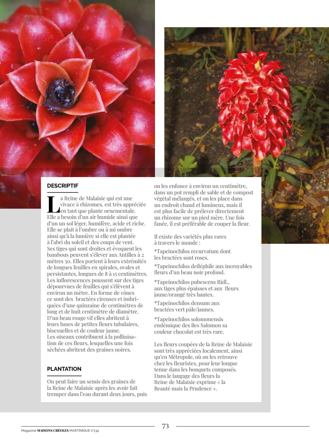 Magazine Maisons Creoles N 134 Martinique By Magazine Maisons Creoles Issuu