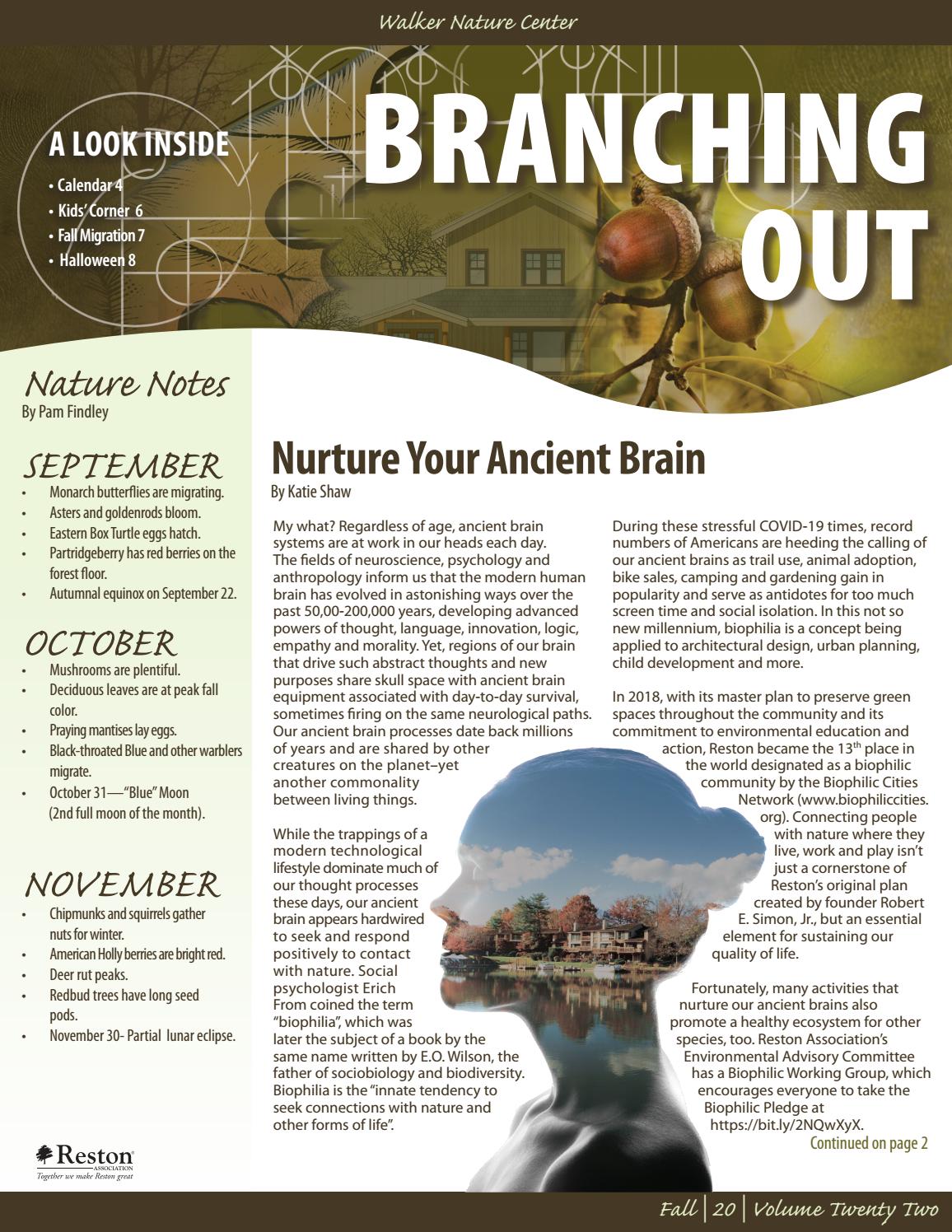 Branching Out Fall 2020 by Reston Association - Issuu