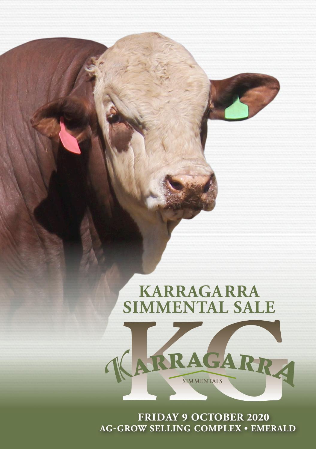 Inaugural Karragarra Simmental Sale by Rural Design Studio - Issuu