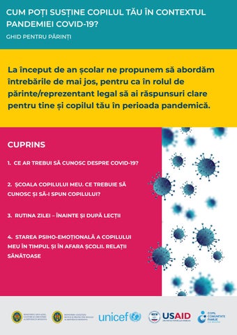 inversarea câmpului magnetic