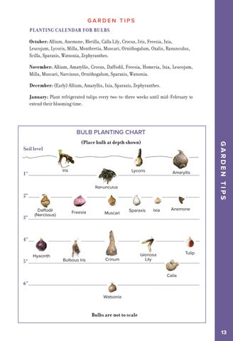 2020 Horticulture 指南 第 13 页