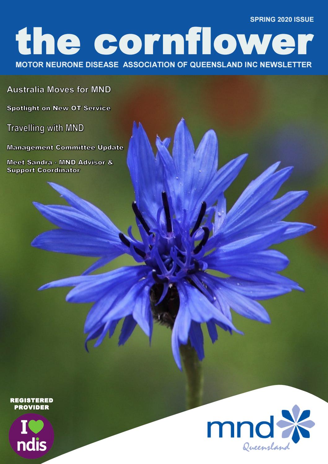 MND Queensland's The Cornflower Newsletter Spring 2020 Edition by MND