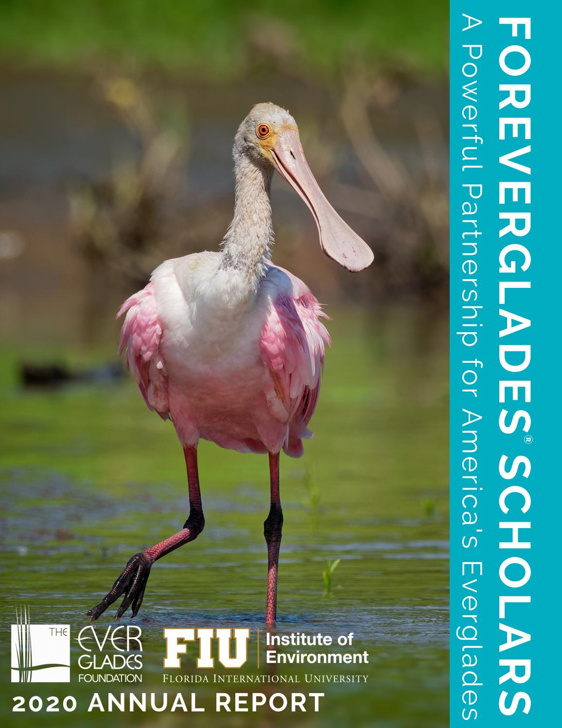 FIU Institute of Environment Annual Report 2020 by FIU Issuu