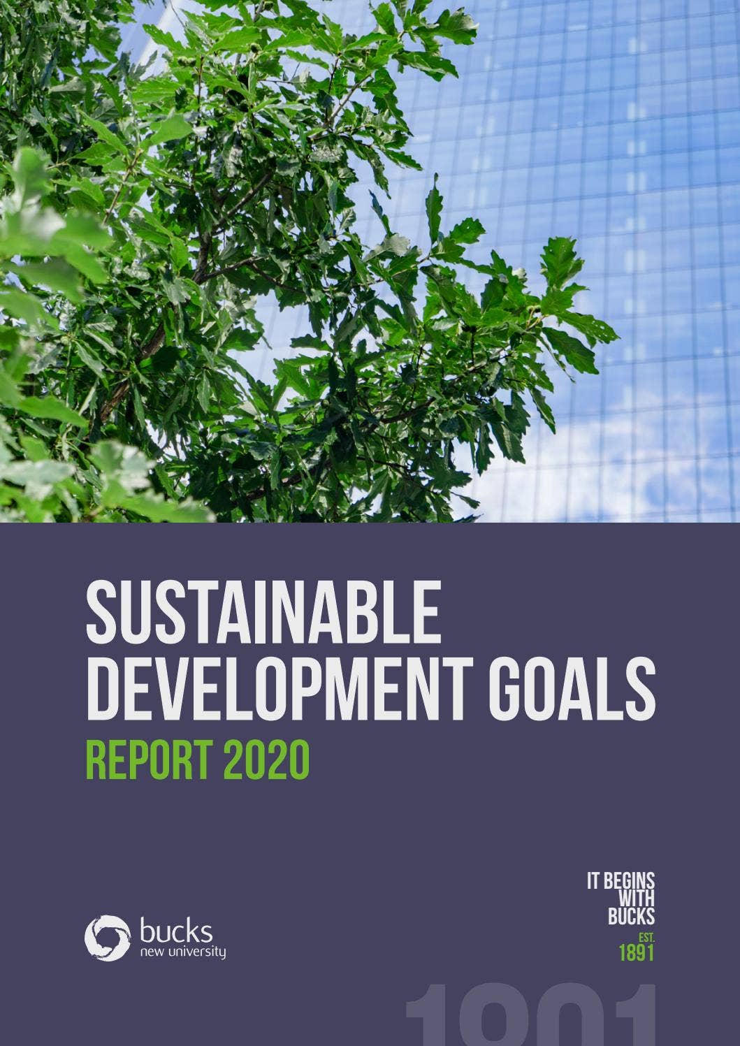 Sustainable Development Goals Report 2020 by Buckinghamshire New ...