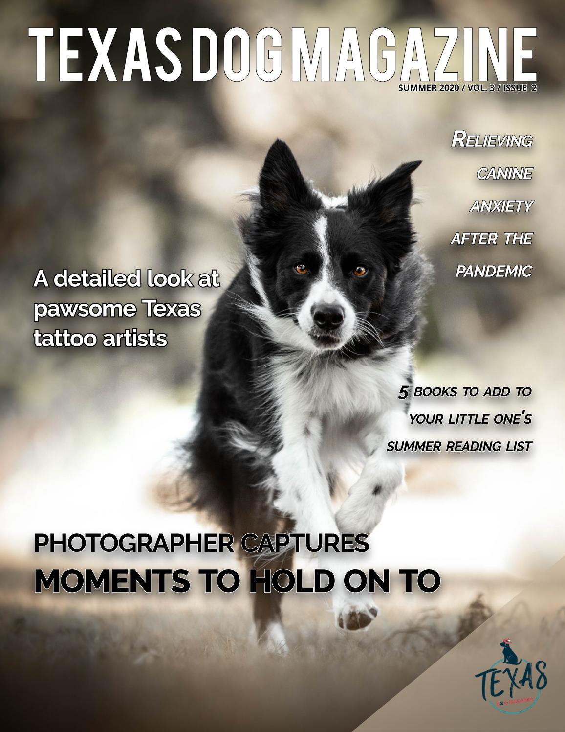 pawsome doggy daycare