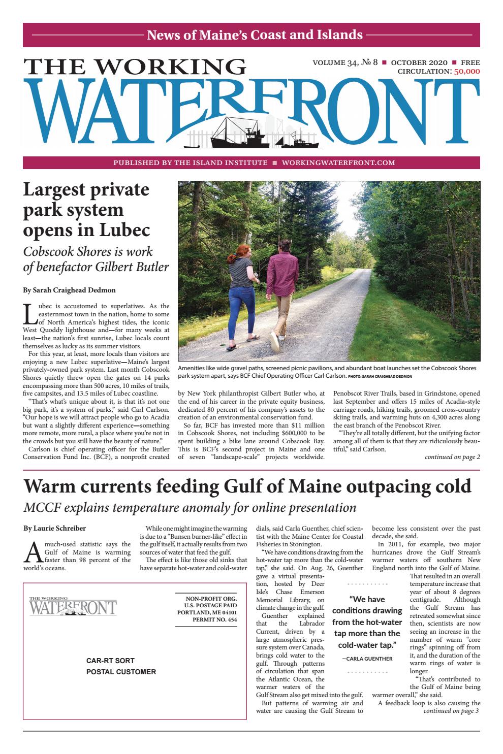 fishing knot tool bcf