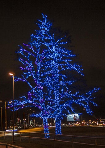 Adamlights Christmas 灯饰目录 2020 / 2021 第 10 页