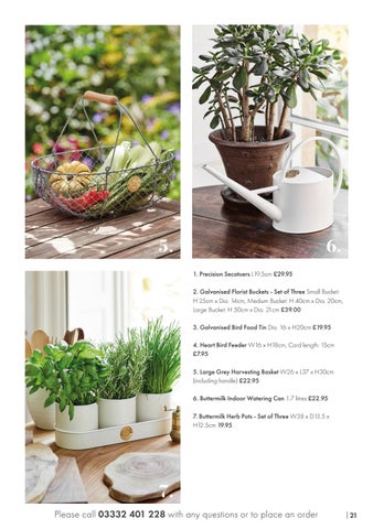 Sophie Conran 秋季 2020 第 21 页