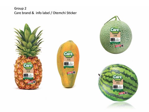 CareFarm branding 第 11 页