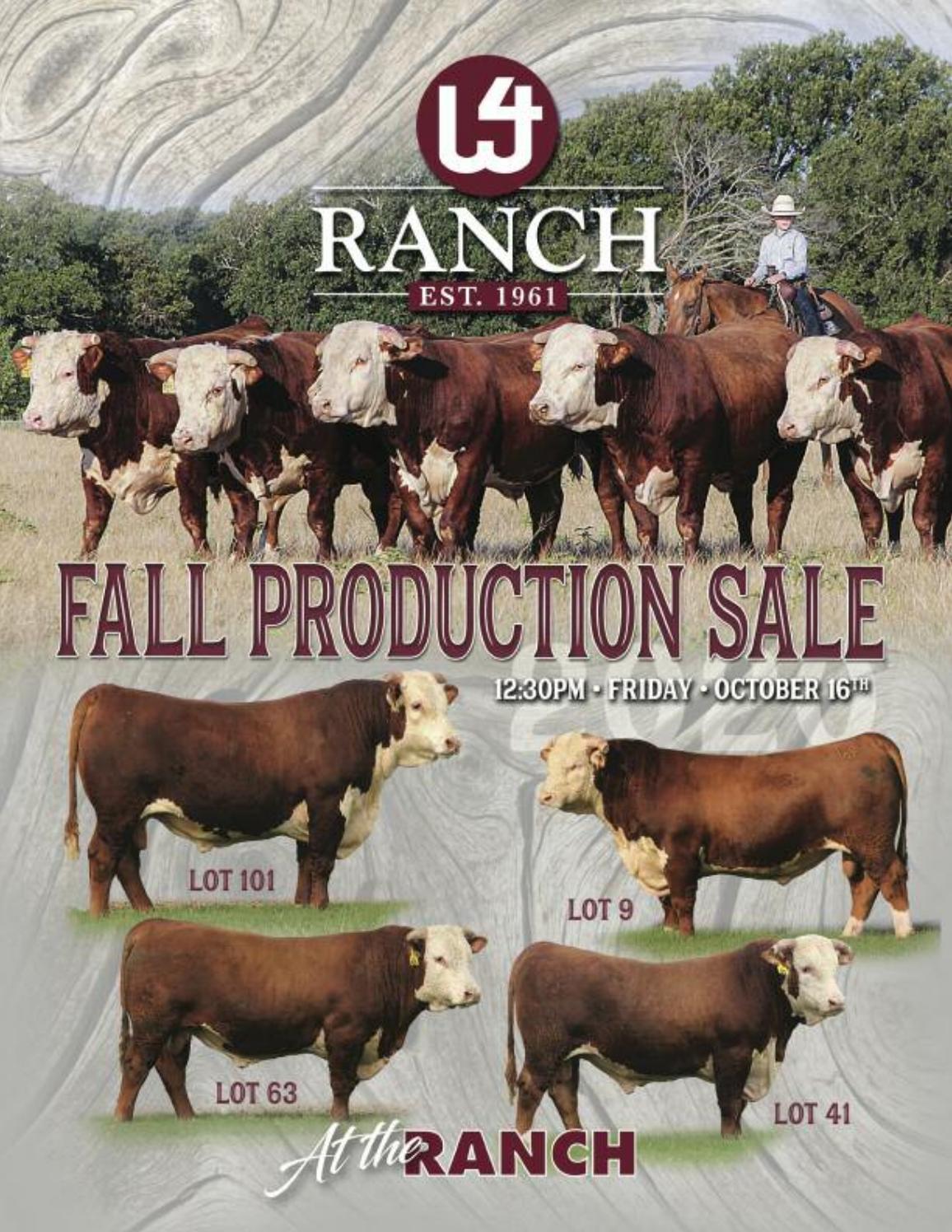 W4 Ranch Fall Sale Catalog By Ranch House Designs Issuu