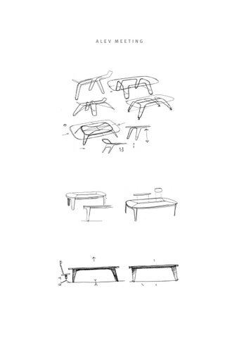 Alev™ Meeting 第 3 页