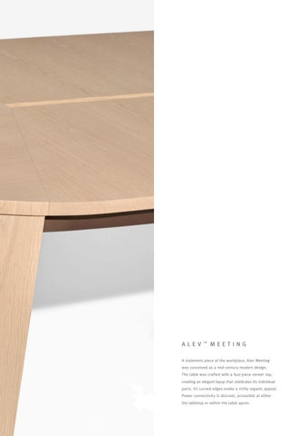 Alev™ Meeting 第 9 页