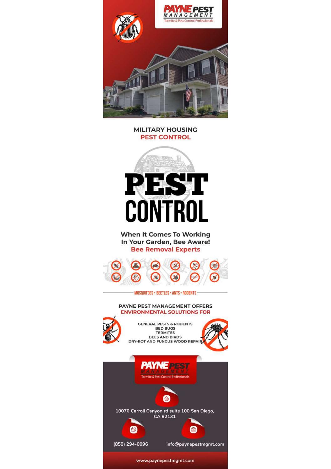 San diego Rodent Control San diego commercial pest control by Payne