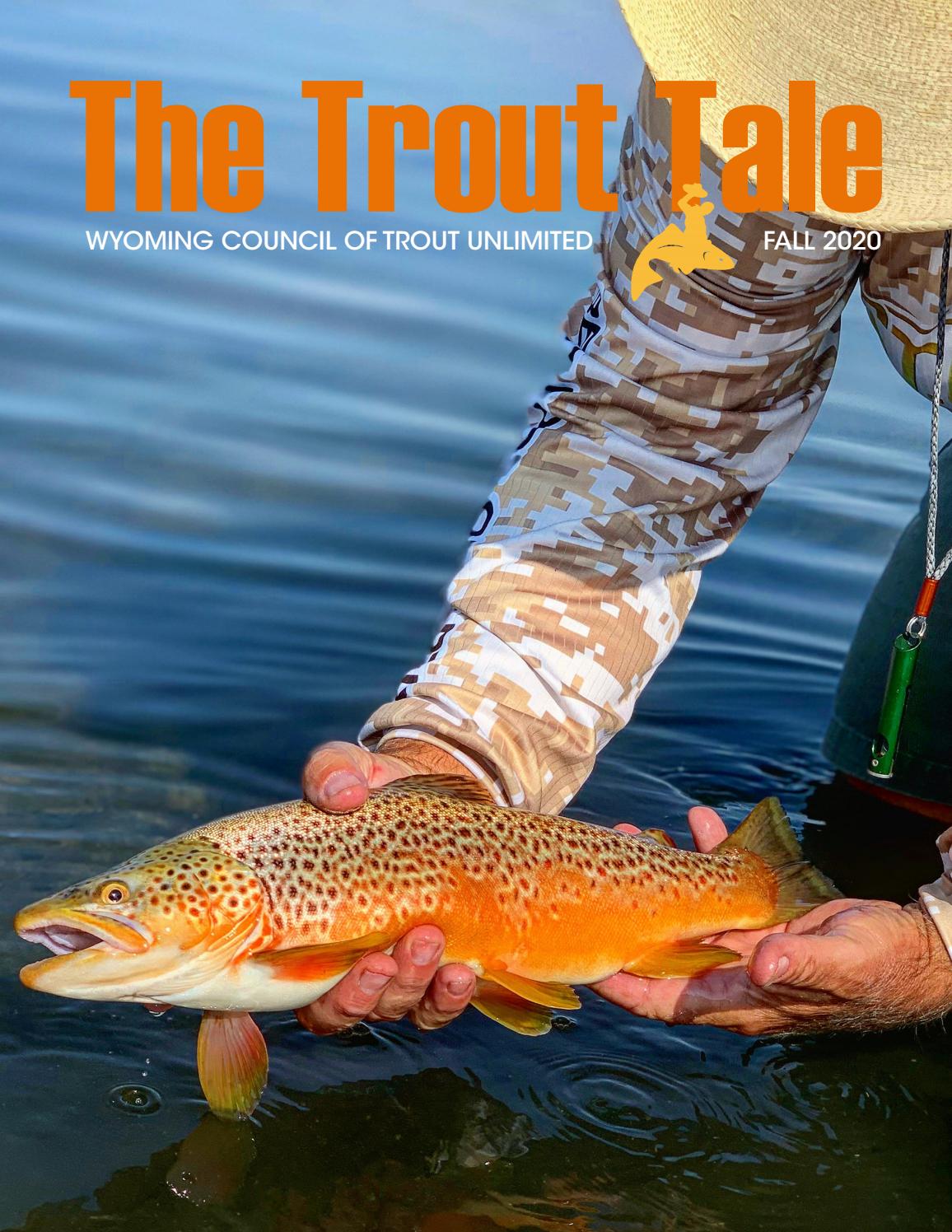 Wyoming Trout Unlimited Fall 2020 Newsletter by WYTUnewsletter Issuu