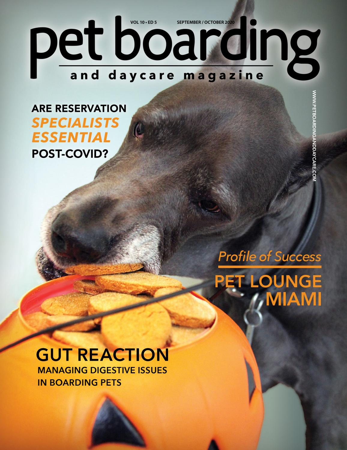 Pet Boarding and Daycare September October 2020 by Barkleigh