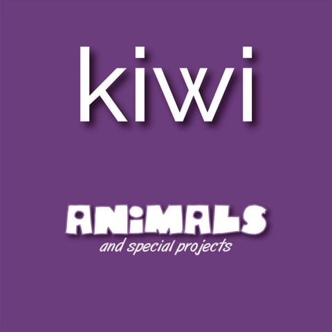 CEB-AMENAGEMENT-KIWI 第 3 页