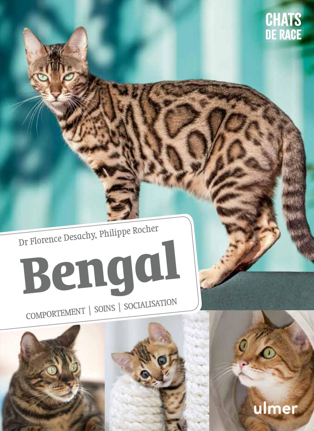 Extrait Bengal Editions Ulmer By Editions Ulmer Issuu
