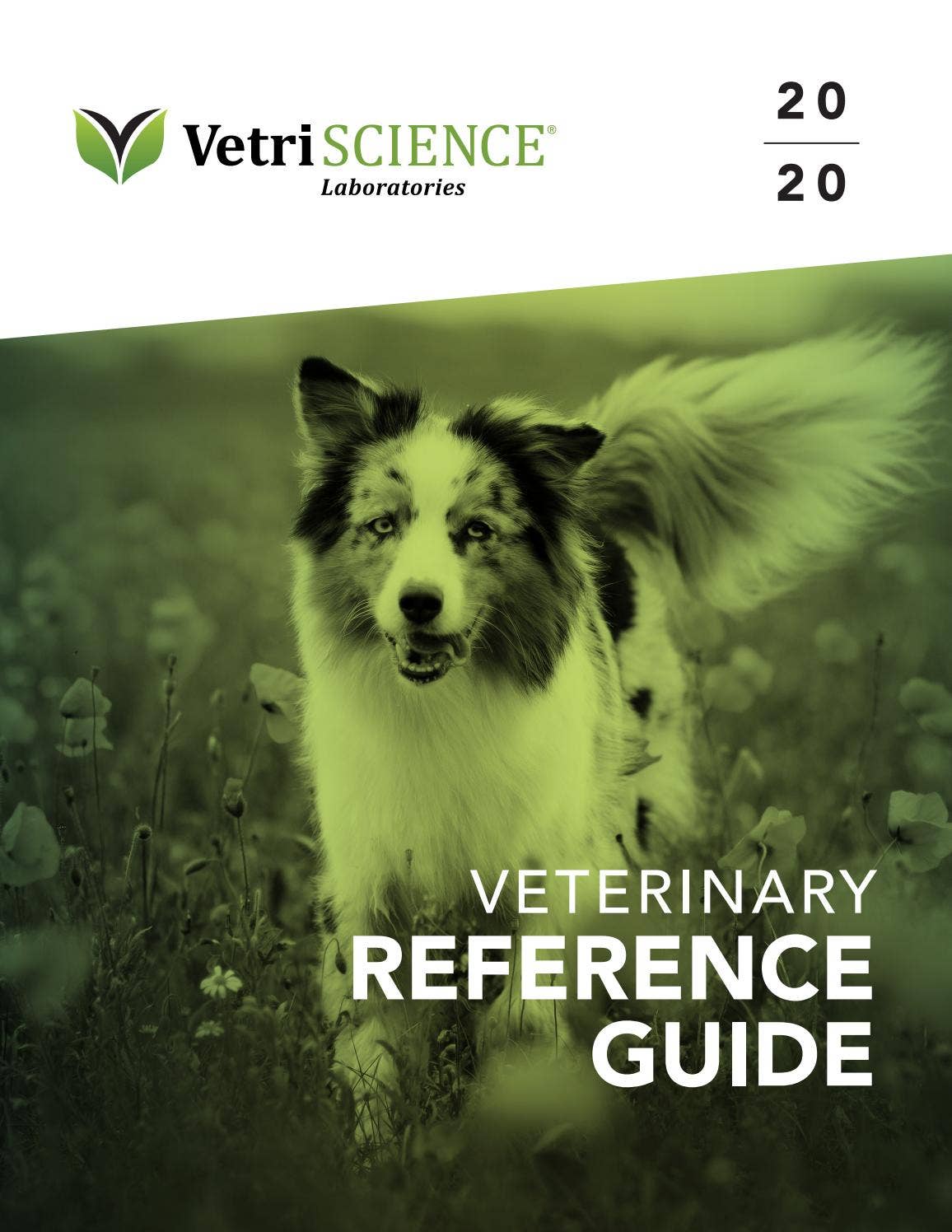 2020 VetriScience Laboratories Veterinary Catalog by FoodScience