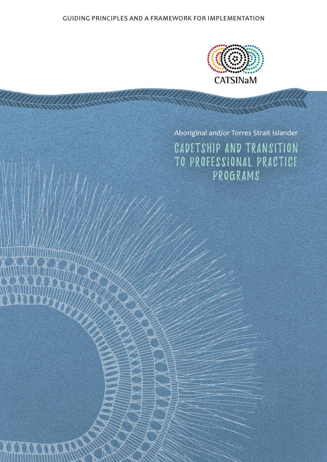 Cadetship and Transition to Professional Practice Programs by CATSINaM ...