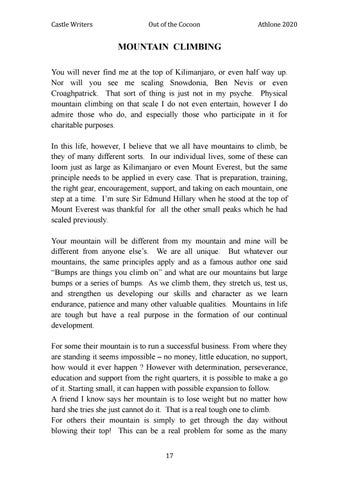Page 17