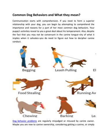 What Is Normal Dog Behavior