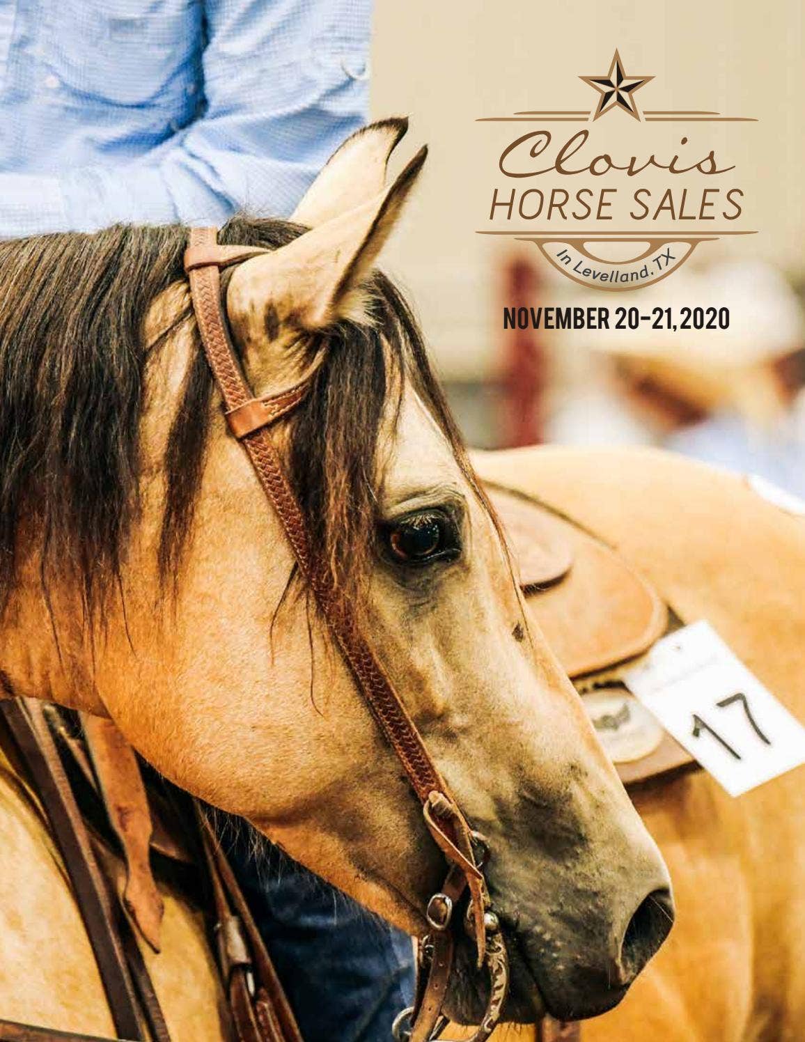 Clovis Horse Sales Winter 2020 Catalog by clovislivestock Issuu