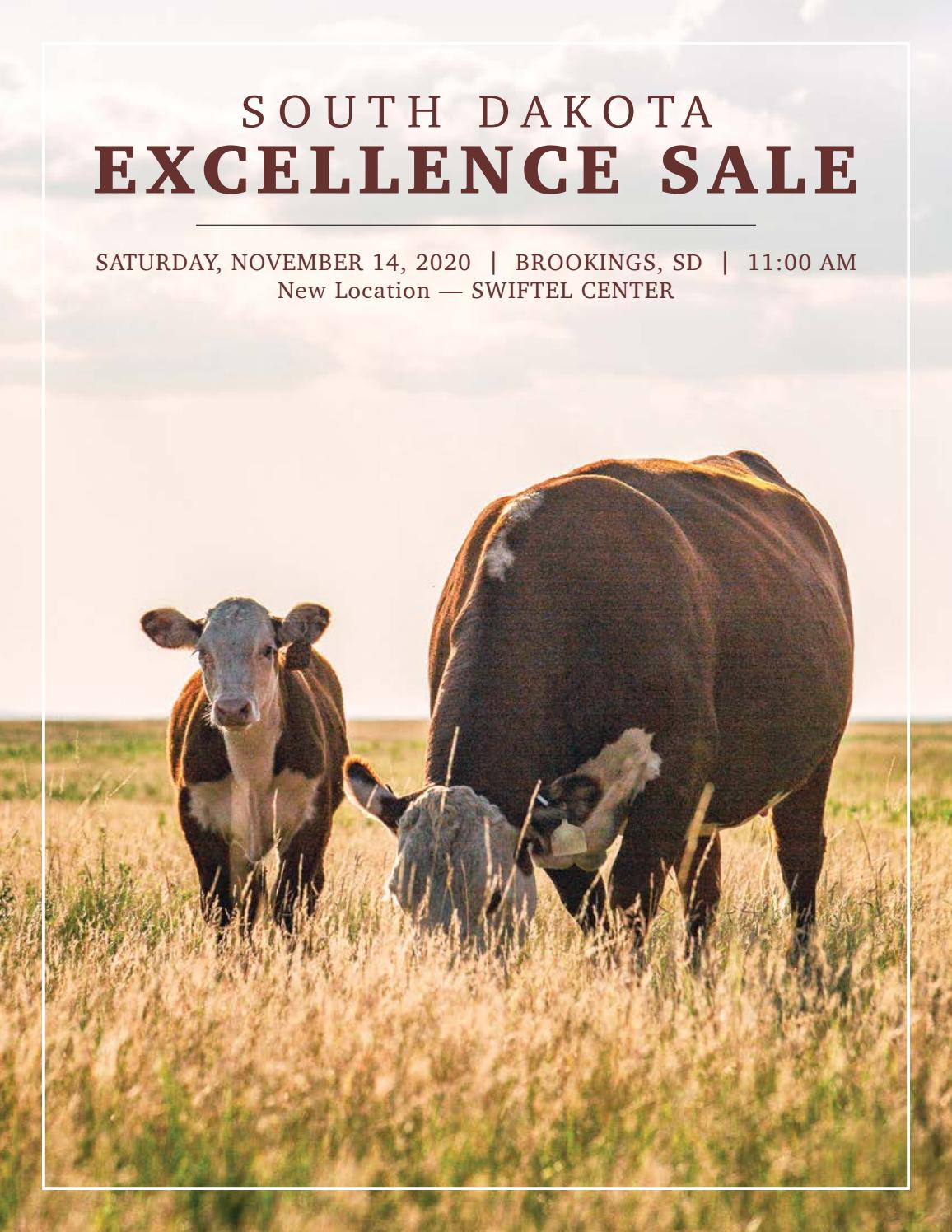 South Dakota Excellence Sale by Focus Marketing Group, Inc. Issuu