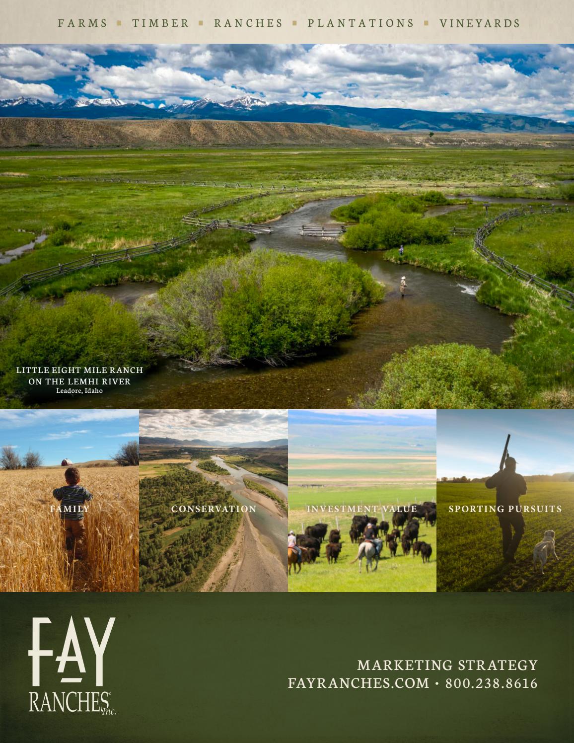 Fay Ranches Marketing Strategy by Fay Ranches - Issuu