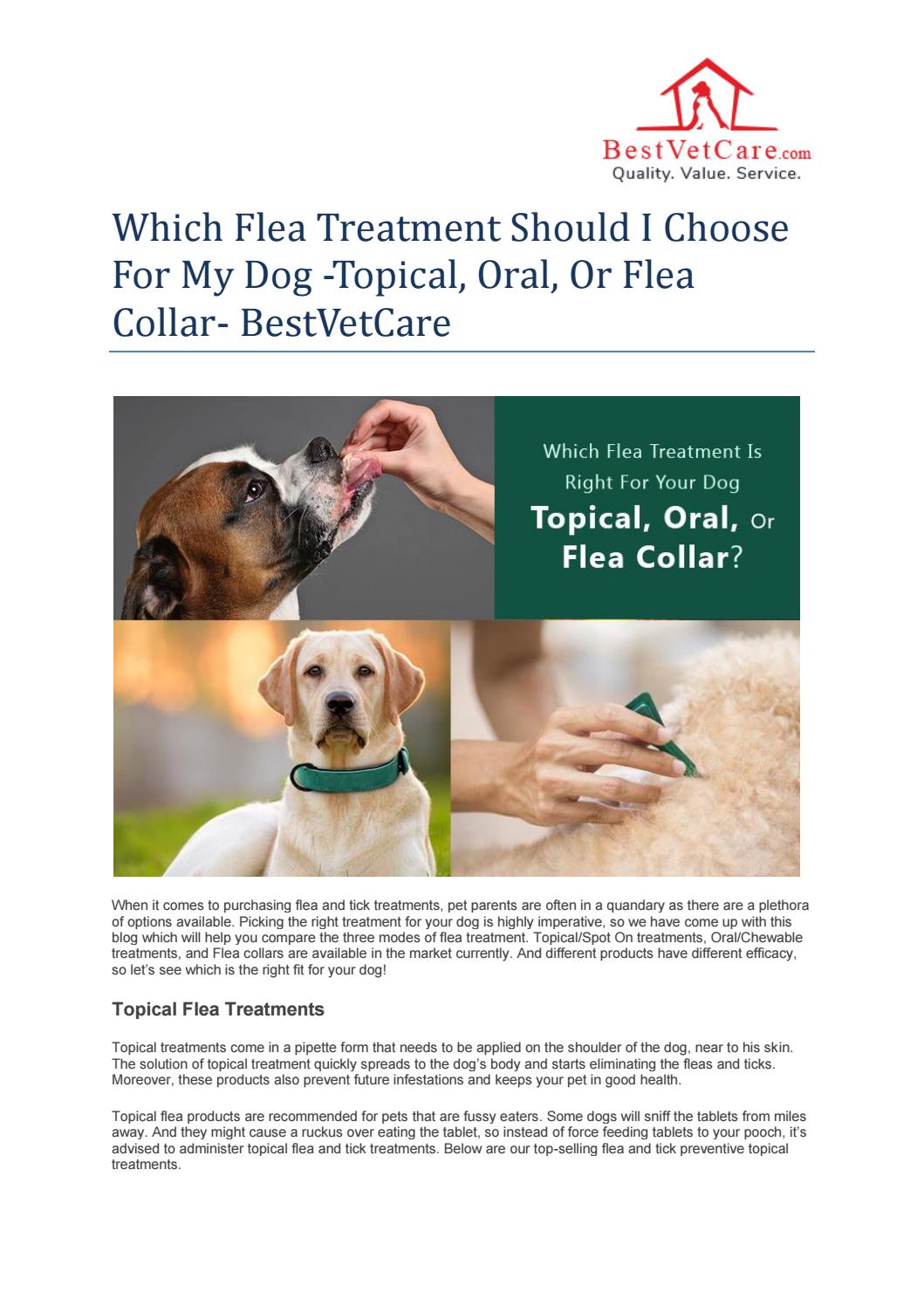 Which Flea Treatment Should I Choose For My Dog Topical, Oral, Or Flea