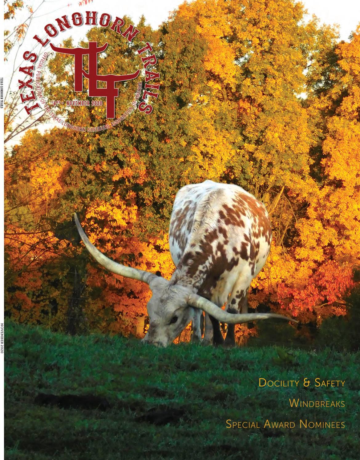 November 2020 Texas Longhorn Trails Magazine By Texas Longhorn Trails Magazine Issuu