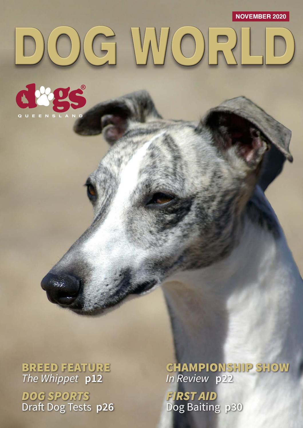 DOG WORLD MAGAZINE NOVEMBER 2020 by Dogs Queensland Issuu