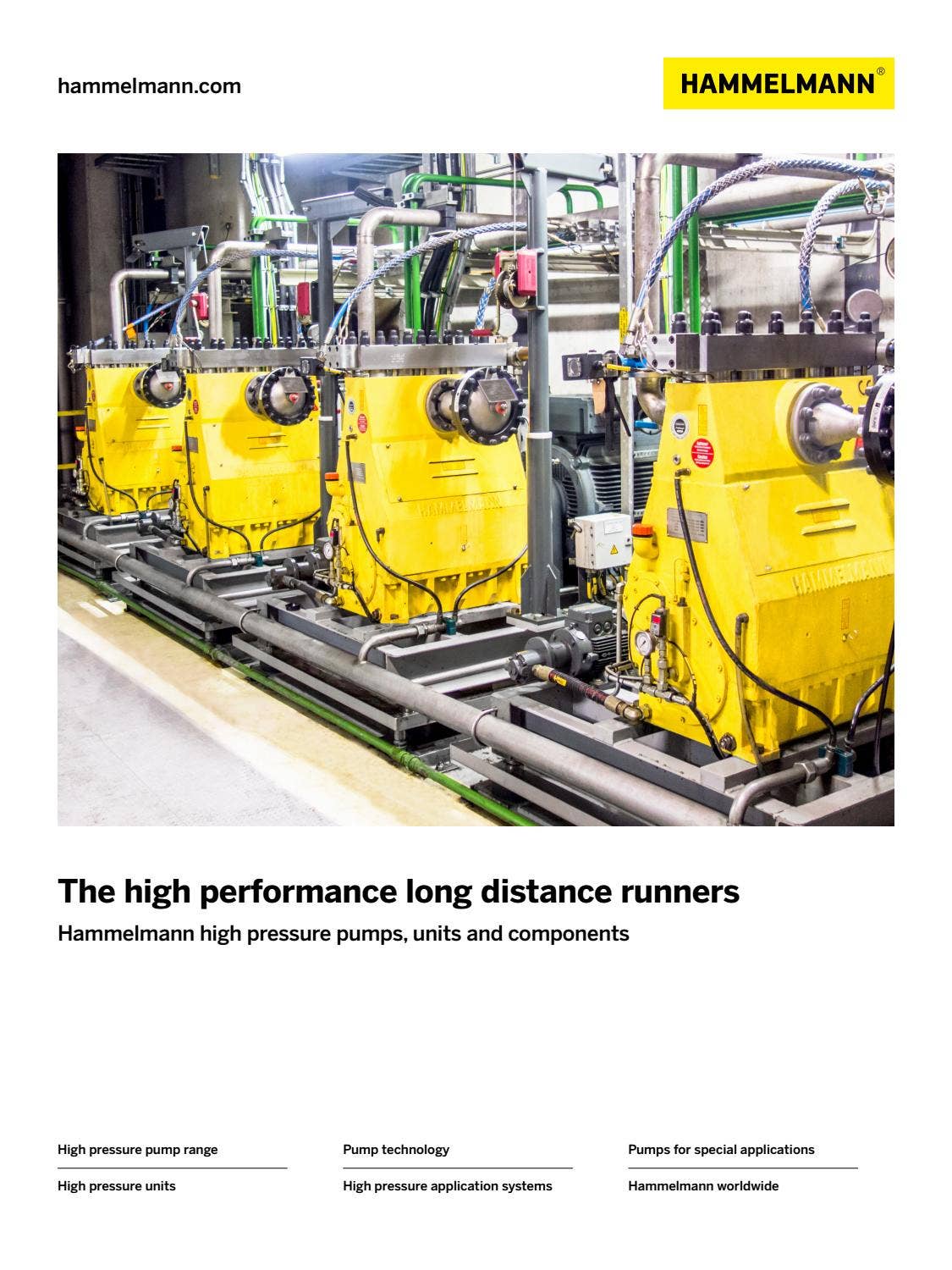 Hammelmann Corp. 00.00124.0110 Electric Rotary High Pressure Pump - IMS  Supply, image size:1125x1500