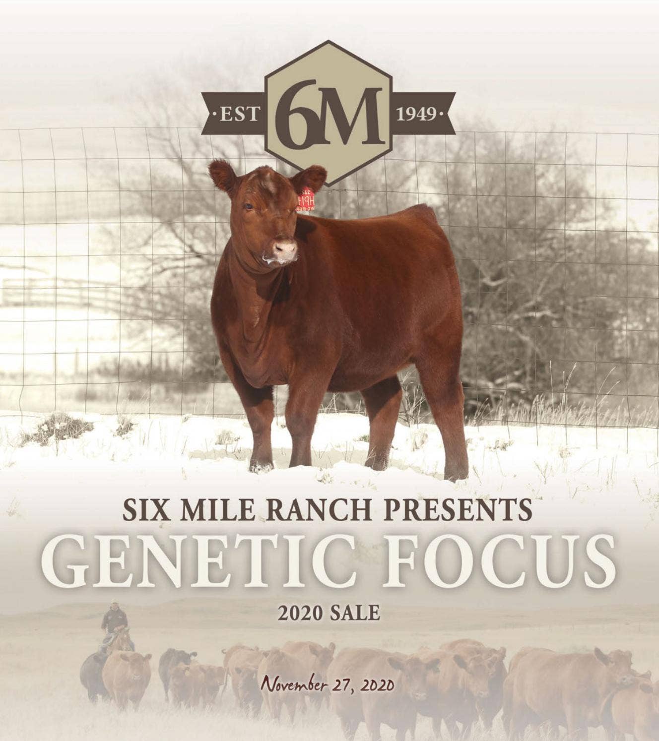 Six Mile Focus Production Sale 2020 by Bohrson Marketing