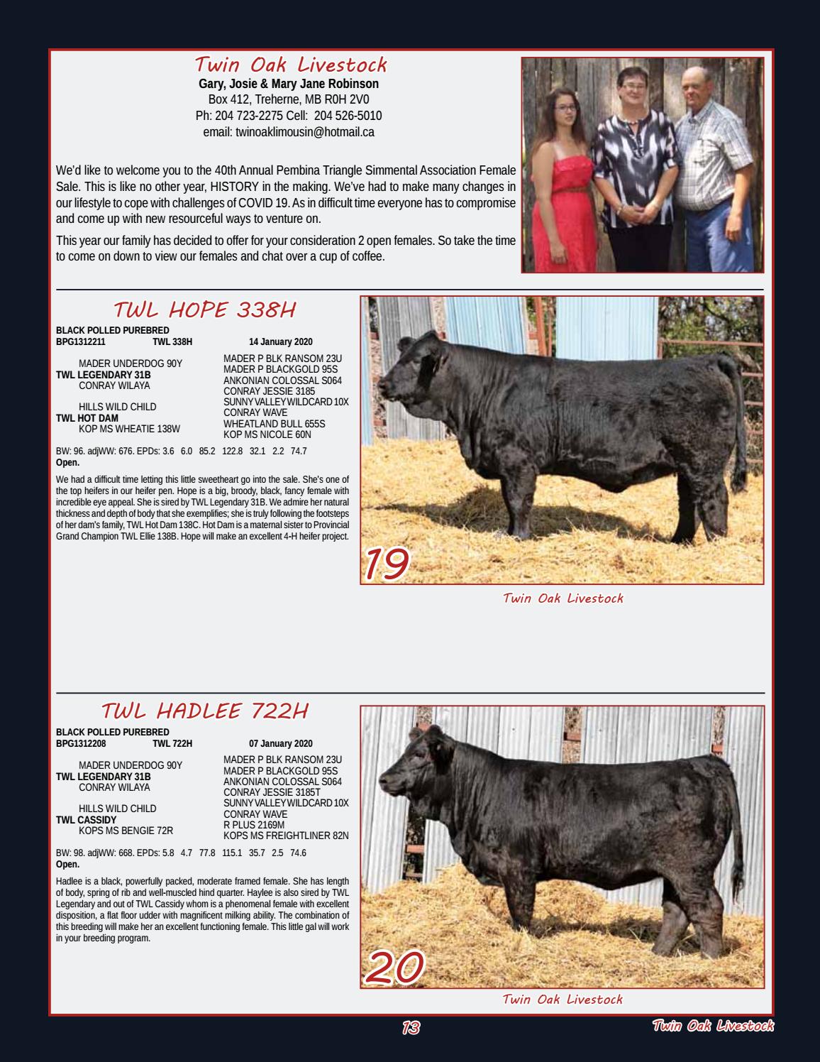 Pembina Triangle Simmental Association 40th Annual Sale 2020 by Bohrson