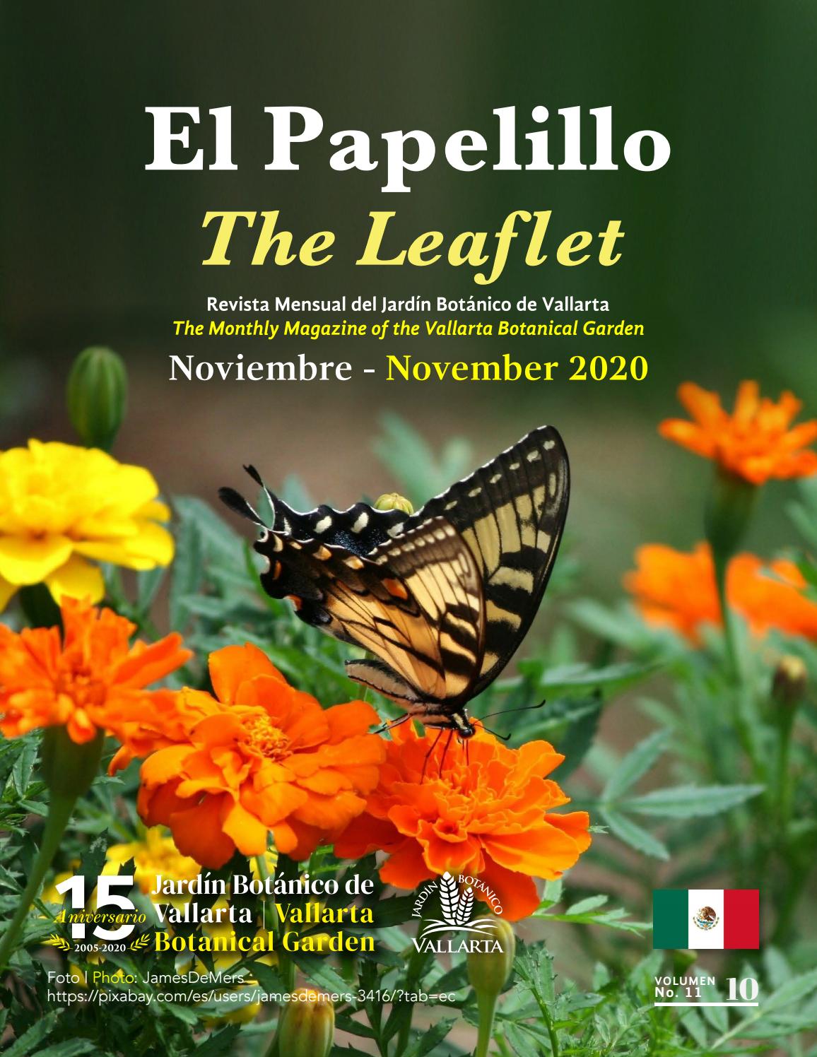 El Papelillo - Noviembre 2020 / The Leaflet - November 2020 by Jardín  Botánico de Vallarta Vallarta Botanical Garden - Issuu