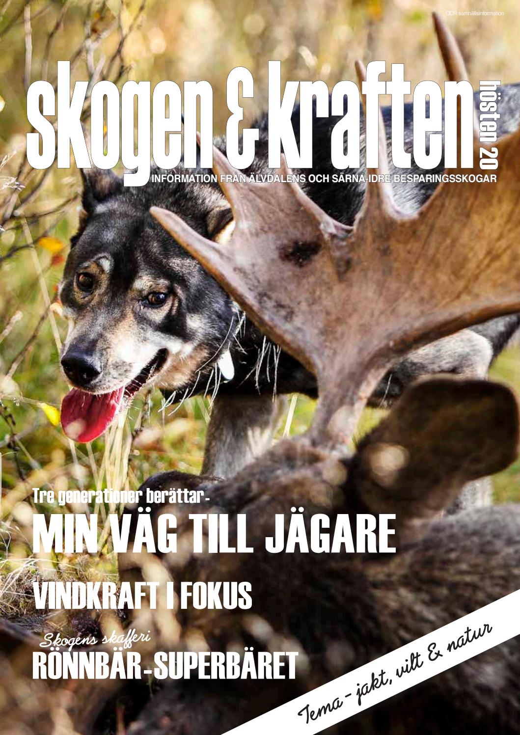 Skogen u0026 Kraften Hösten 20 by STUART REKLAM - Issuu