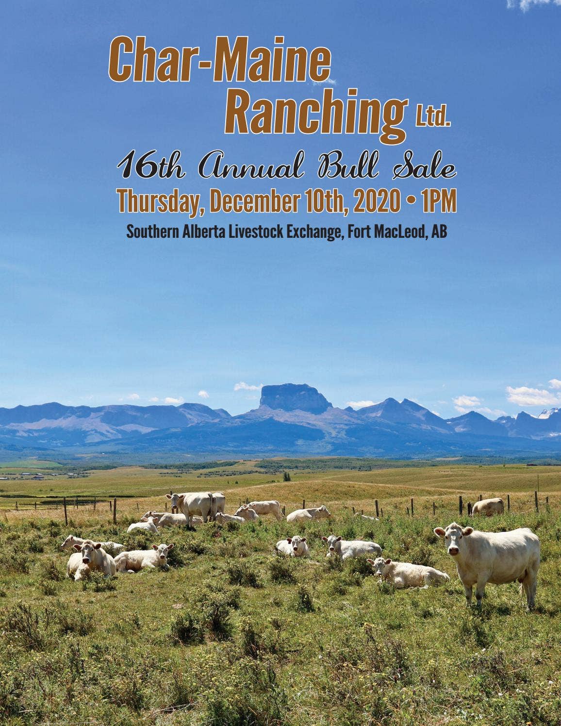 Char-Maine Ranching 2020 Bull Sale by Charolais Banner - Issuu