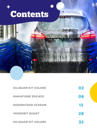 Car Wash Service 小册 家具手册 第 2 页