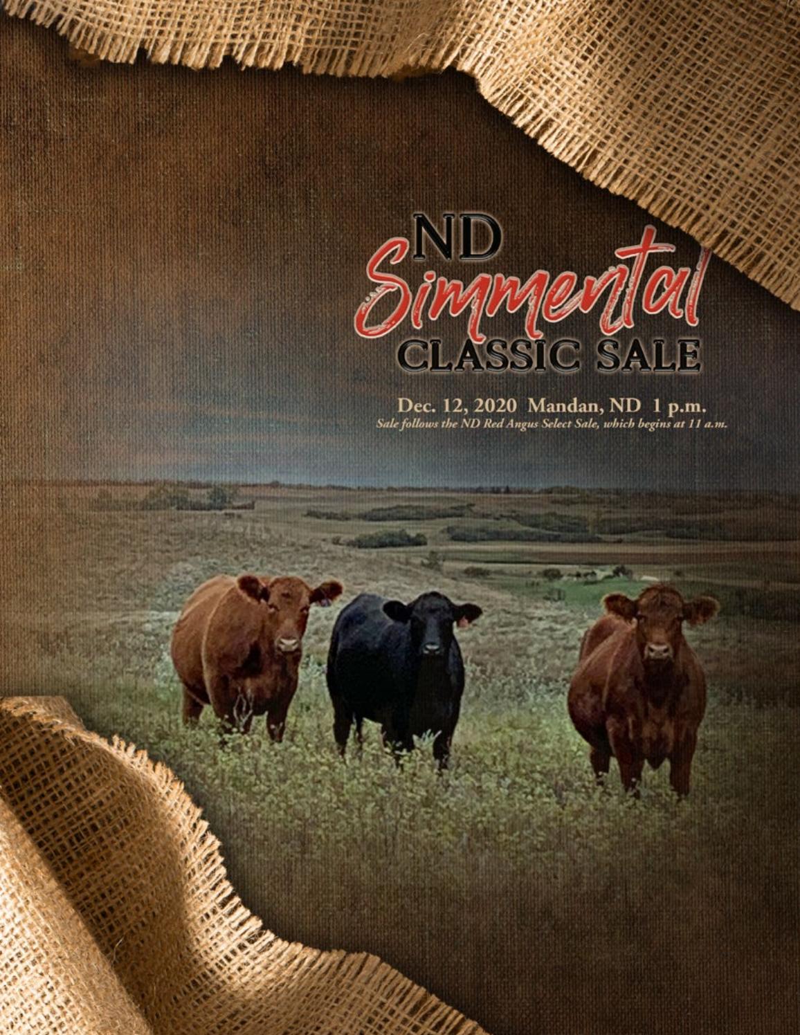ND Simmental Classic Sale by American Simmental Publication, Inc Issuu