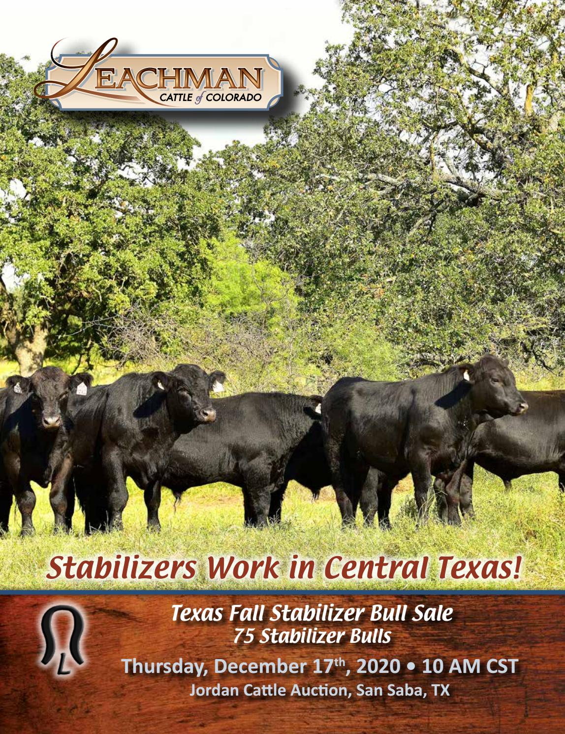 2020 Texas Fall Stabilizer Bull Sale by Leachman Issuu